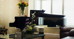 Copy of Piano  
